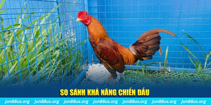 go88 play xổ số tiền giang