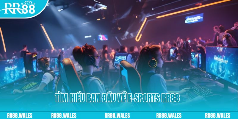 go88 play 8 bit khi nào nổ hũ