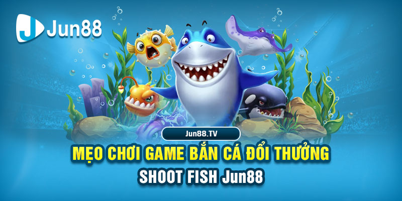 go88 play tai game danh bai bigkool ve may tinh