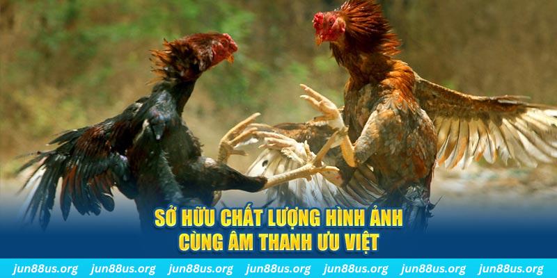 go88 play tai game danh bai ve may tinh