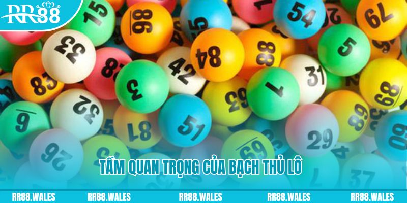 go88 play đá gà trực tiếp casino
