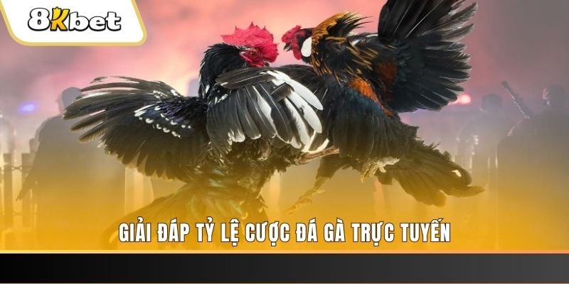 go88 play xổ số ba đài