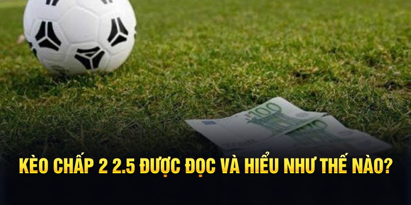 go88 play đá gà thomo