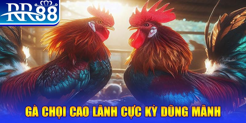 go88 play natural” trong baccarat nghĩa là gì？